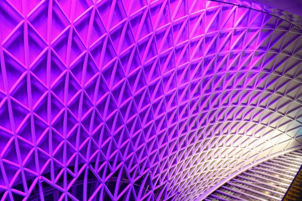 Wing architecture spiral purple Photo