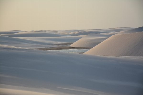 Landscape nature sand horizon Photo