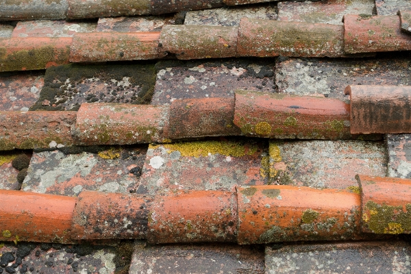 Foto Arsitektur kayu atap bangunan