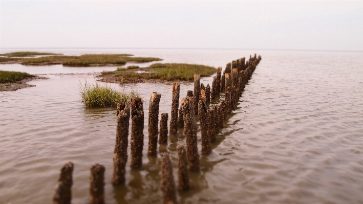 Beach sea coast water Photo