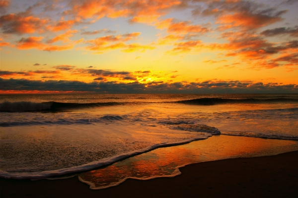 Beach sea coast water Photo