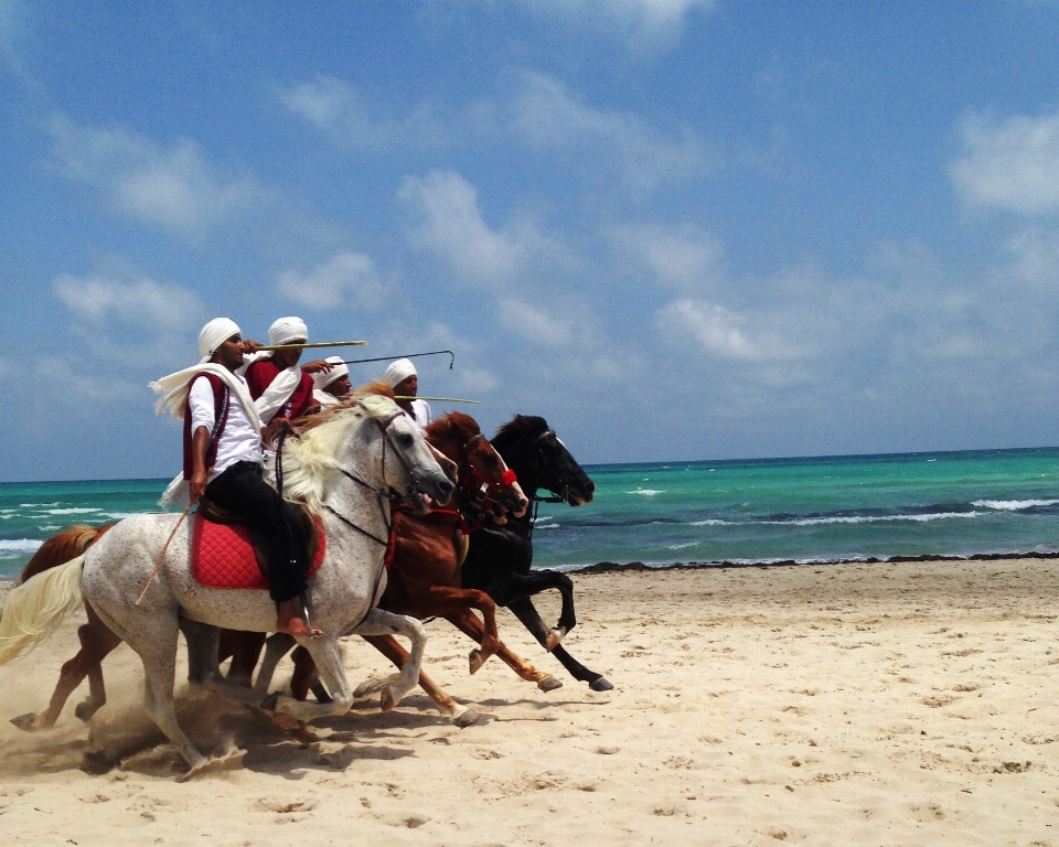 Plage mer eau sable