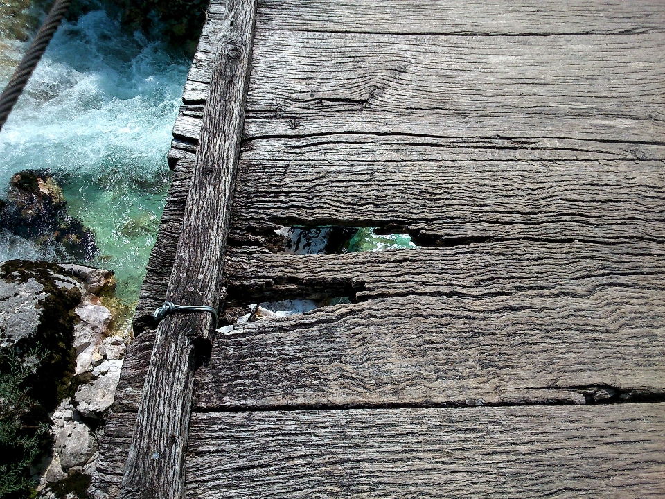 árbol agua naturaleza exterior