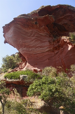 風景 森 rock 荒野
 写真