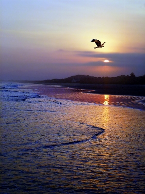 Beach landscape sea coast Photo