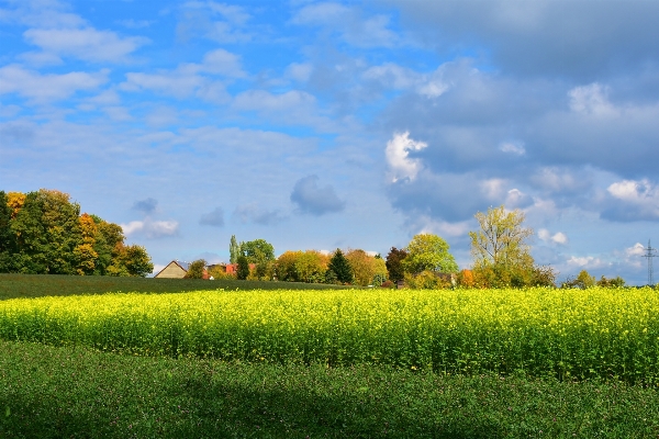 Landscape nature grass horizon Photo