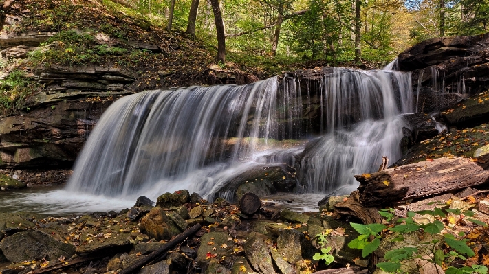 Landscape water forest waterfall Photo