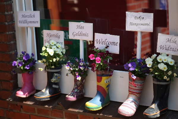 Flower spring welcome kindergarten Photo