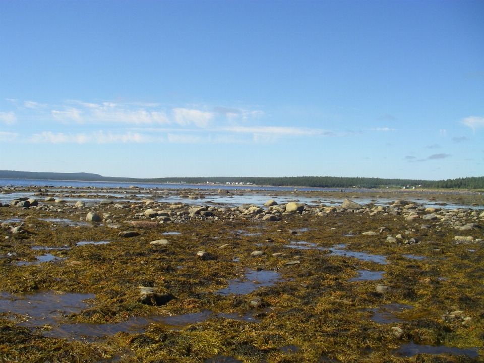 Plage paysage mer côte