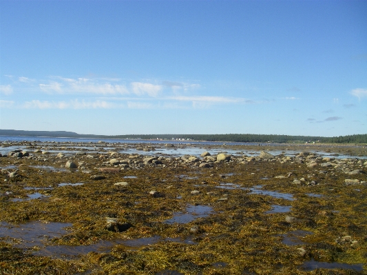 Beach landscape sea coast Photo