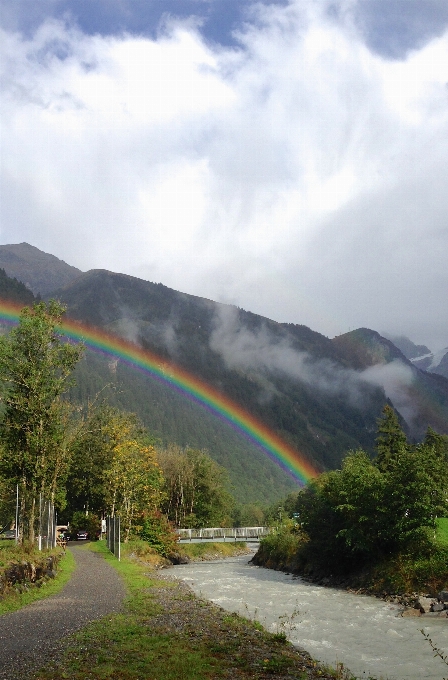 景观 自然 森林 山