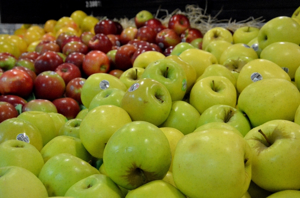 Apple zakład owoc żywność