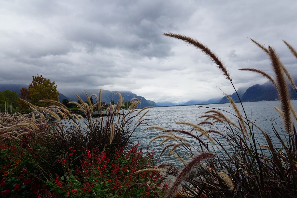 Beach landscape sea coast