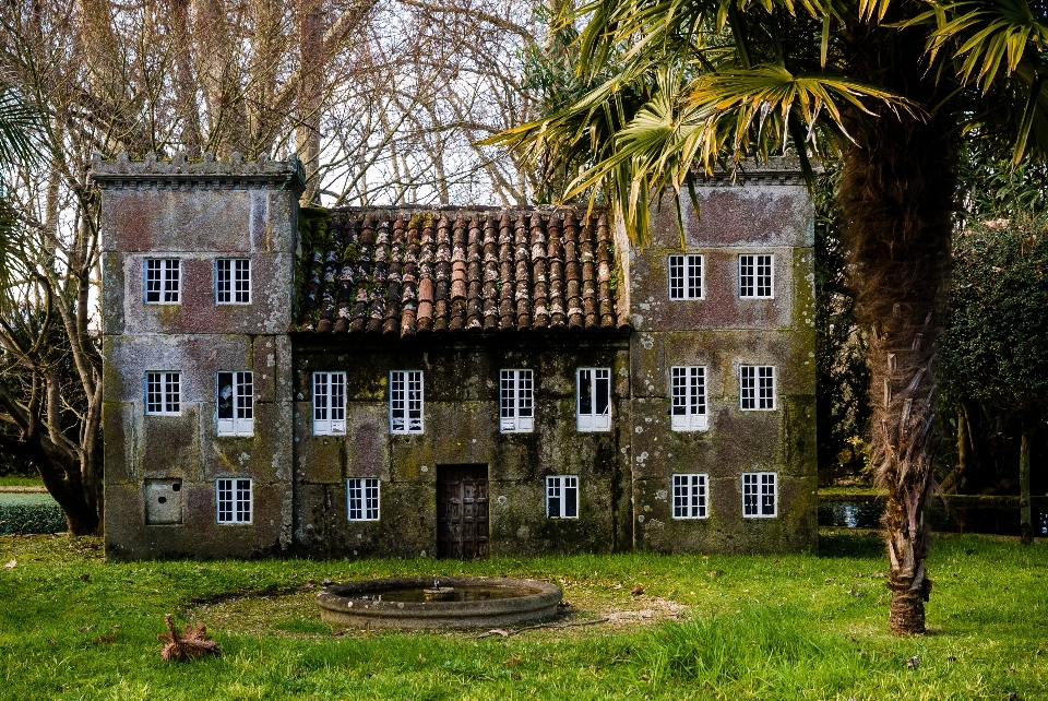 Arbre architecture manoir
 loger