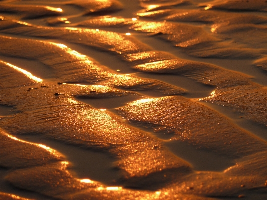 Beach landscape sand sunrise Photo