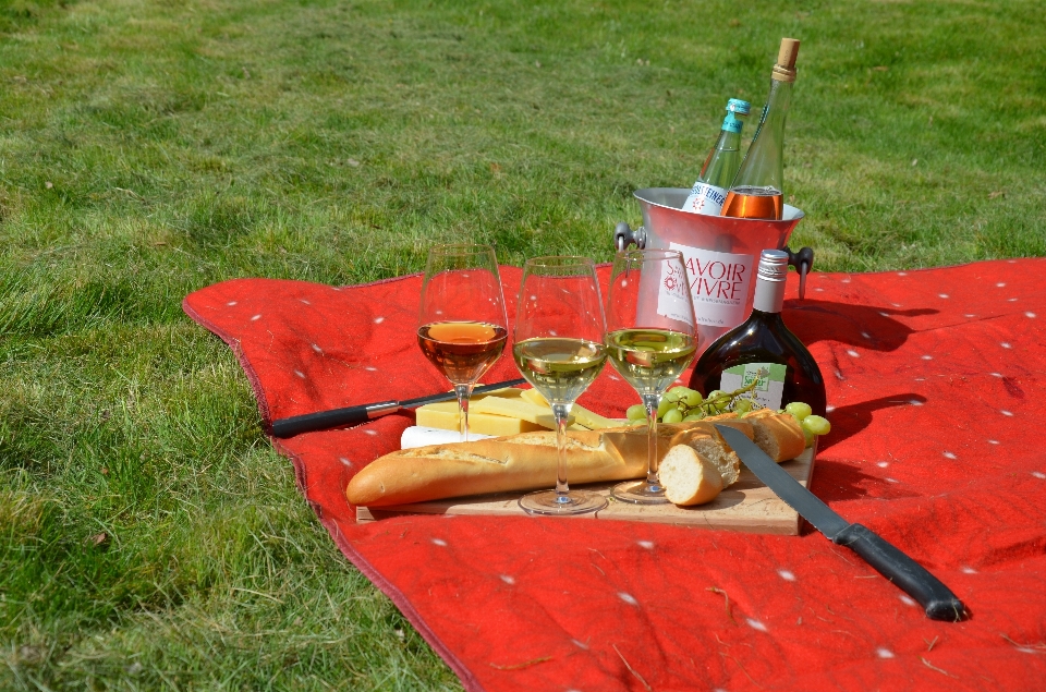 Vin bateau pelouse véhicule