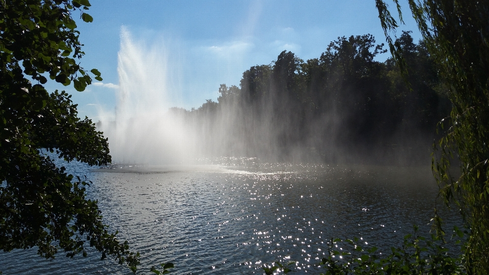 Paisagem mar árvore água