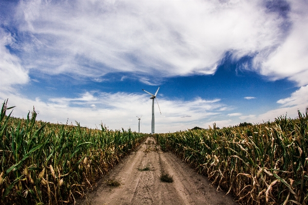 Landscape nature grass horizon Photo