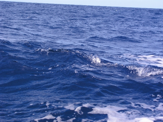 海 水 海洋 濡れた 写真