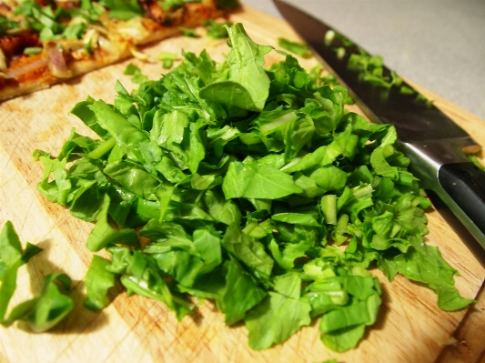 Dish food salad green Photo