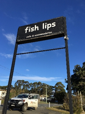 Cafe advertising sign fish Photo