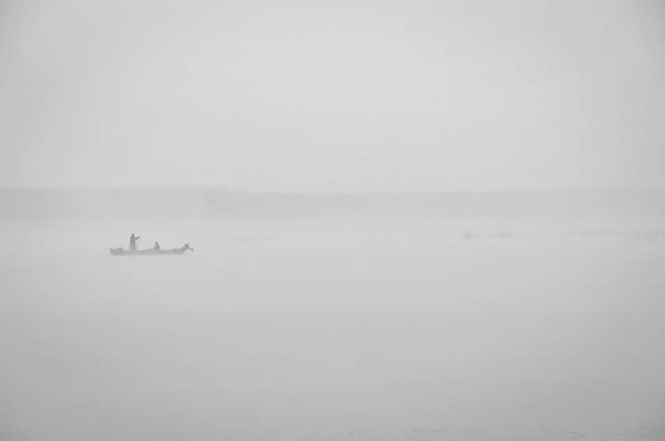 Noir et blanc
 brouillard brume blanc