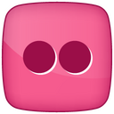 Flickr Icon