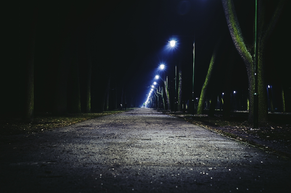 光 路 街道 夜晚