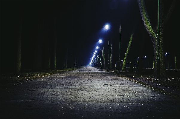 Foto Luz estrada rua noite