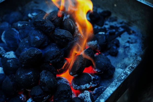 Food produce barbeque flame Photo