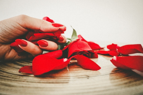 Hand woman flower petal Photo