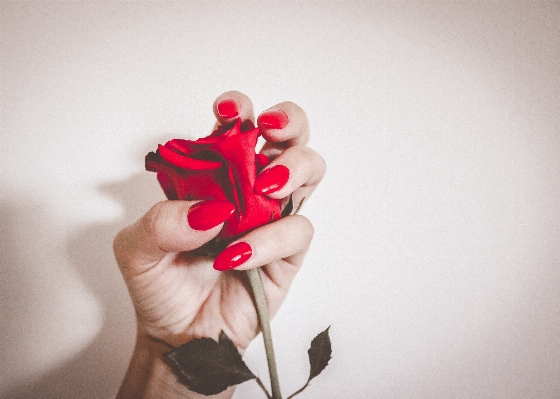 Hand girl woman flower Photo