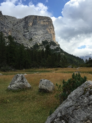 Landscape nature forest rock Photo