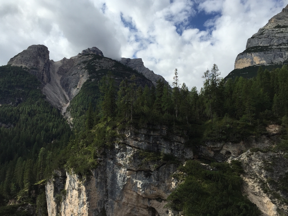 Manzara doğa orman rock