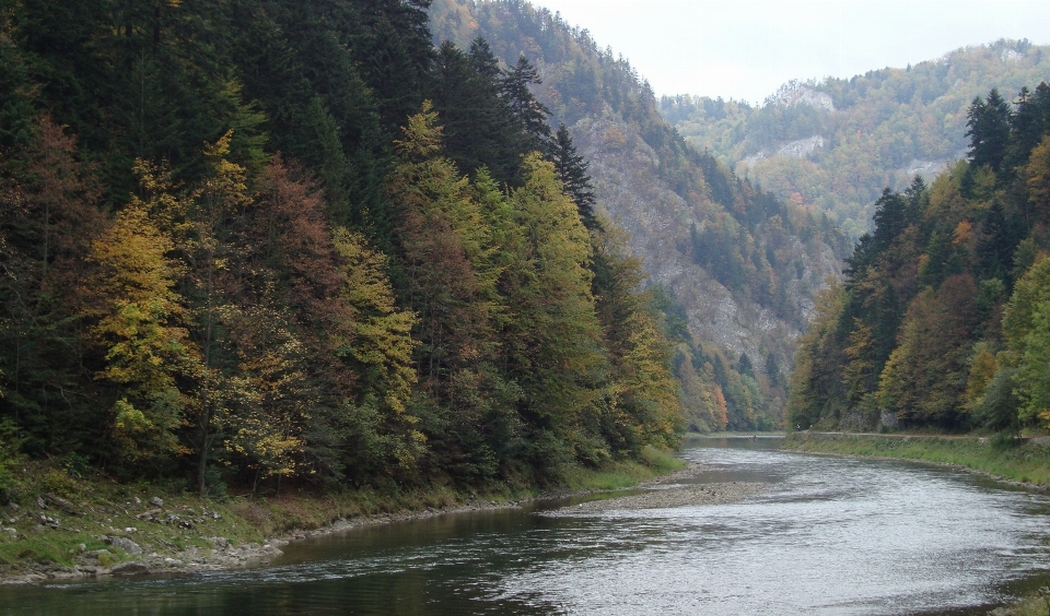 Landschaft wasser wald wildnis
