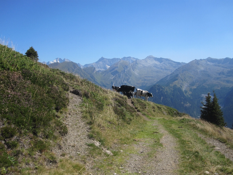 Landschaft rock wildnis
 gehen