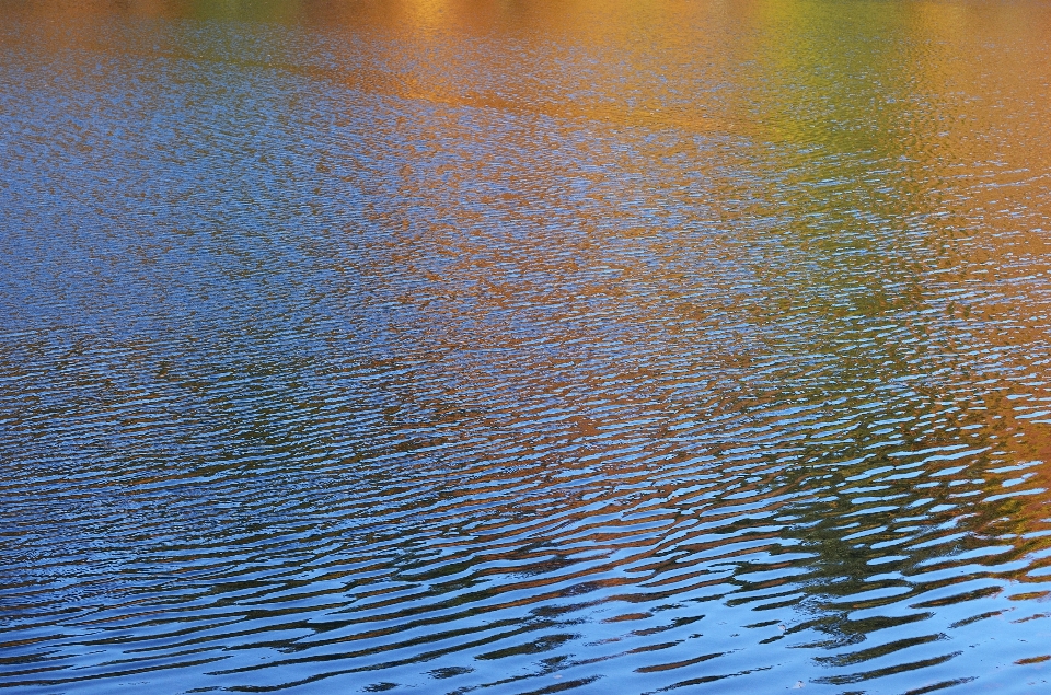 風景 海 水 自然