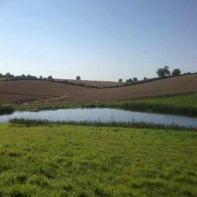 Landscape water nature grass Photo