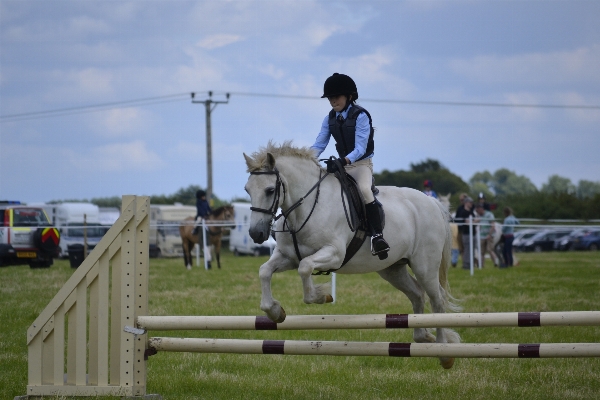 White sport recreation jumping Photo