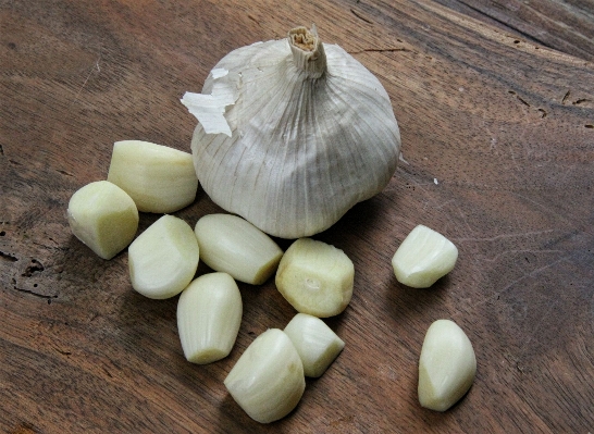 Plant food garlic produce Photo