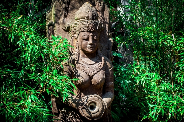 Tree forest sand woman Photo