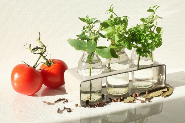 Anlage essen produzieren gemüse Foto