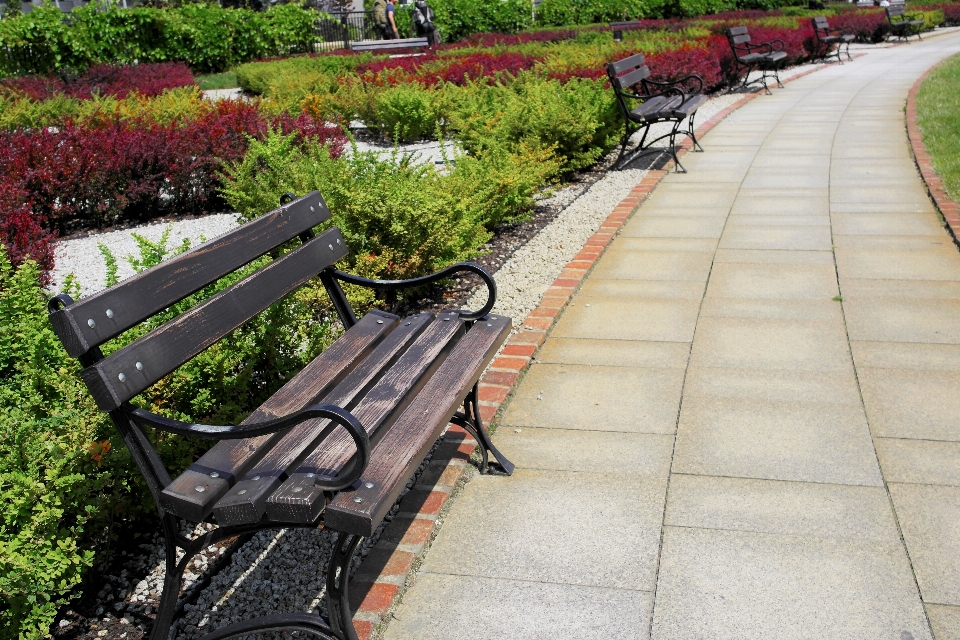 Track bench lawn sidewalk