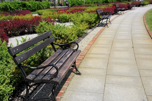 Track bench lawn sidewalk Photo