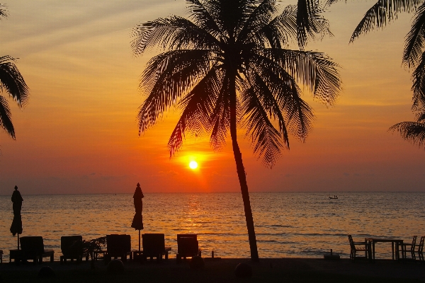 Beach landscape sea coast Photo