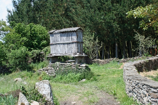 Foto Dinding pondok desa kebun