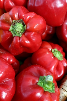 Foto Planta fruta alimento pimienta