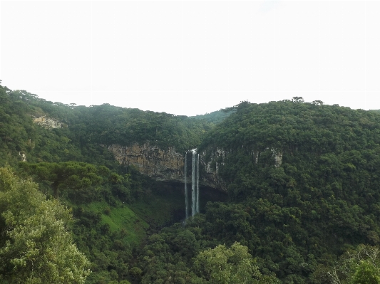 Nature forest waterfall jungle Photo