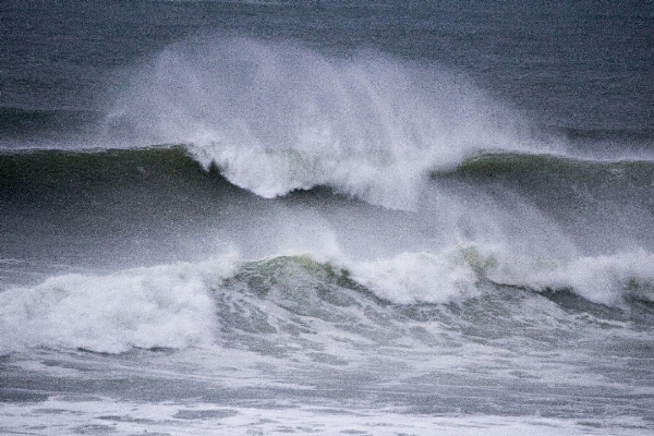 Beach sea coast water Photo