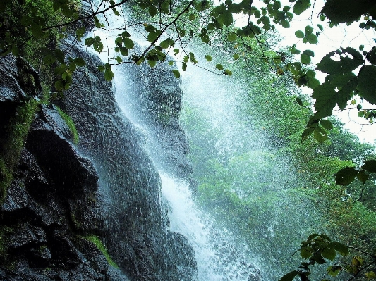 Landscape water nature forest Photo